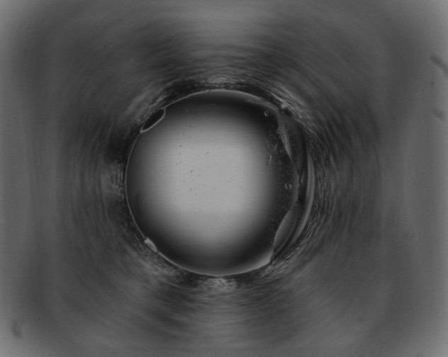 X0000093210421200710031424