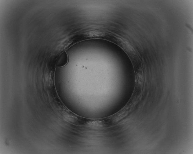 X0000093210422200710031424