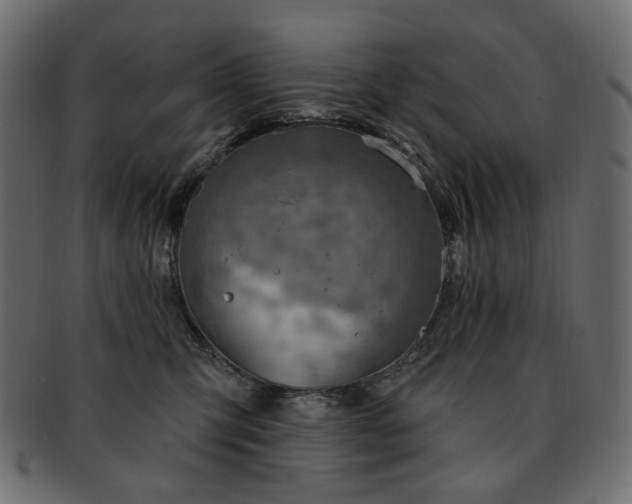 X0000093210423200710031424