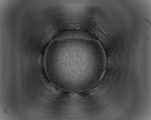 X0000093210424200710031424