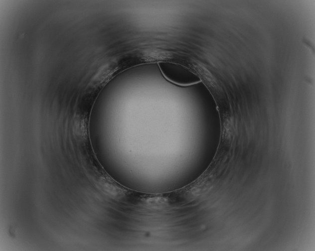 X0000093210426200710031424