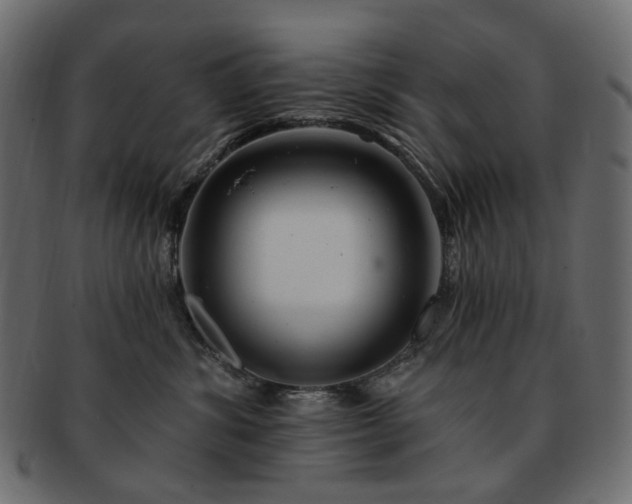 X0000093210428200710031424