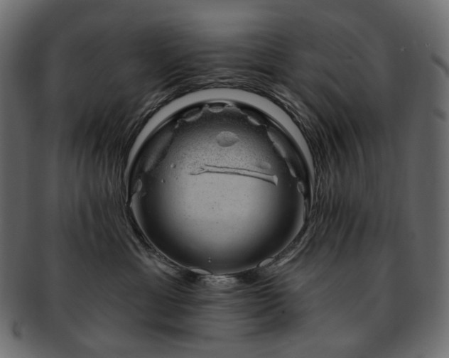 X0000093210429200710031424