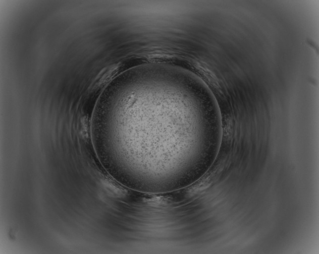 X0000093210430200710031424