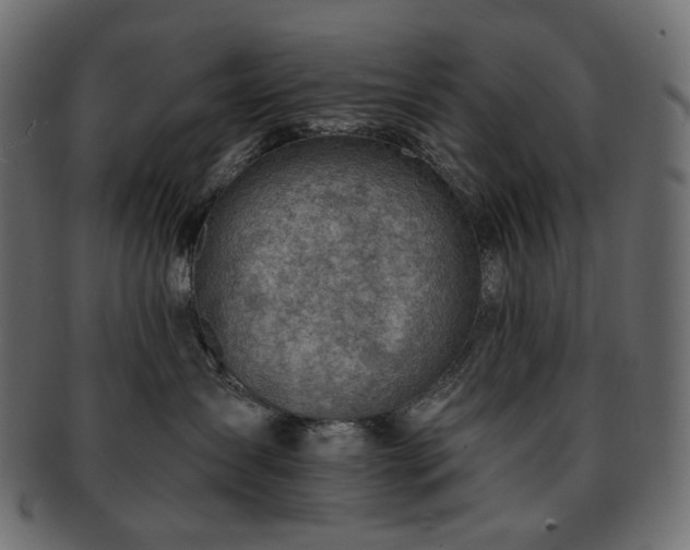 X0000093210431200710031424