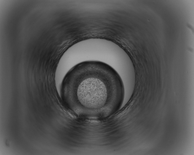 X0000093210432200710031424