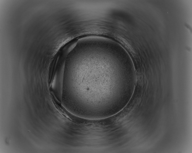 X0000093210434200710031423