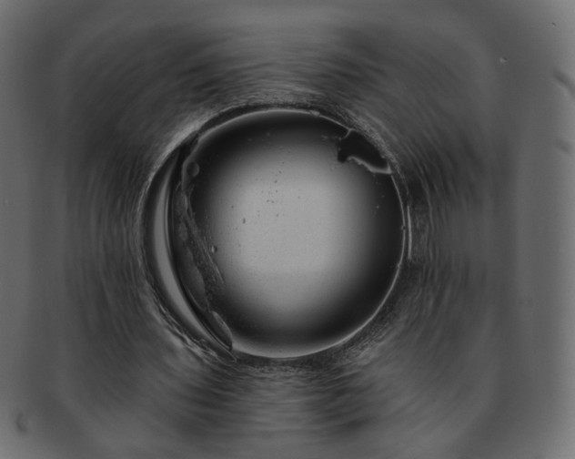 X0000093210435200710031423