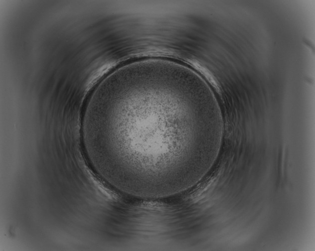 X0000093210437200710031423