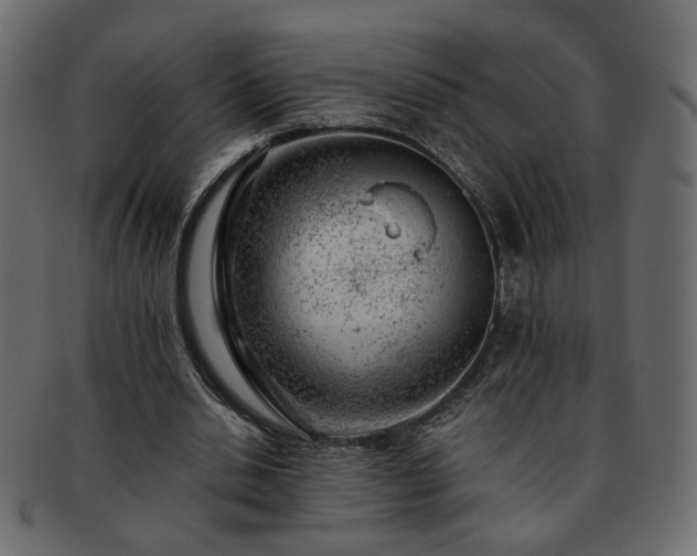 X0000093210438200710031423