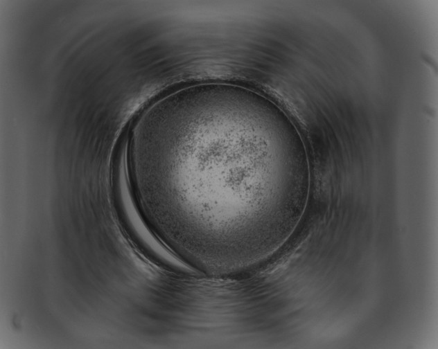 X0000093210439200710031423