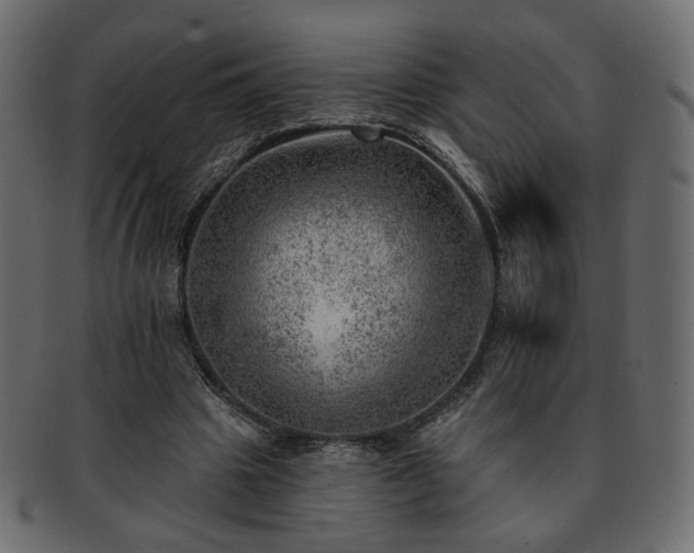 X0000093210441200710031423