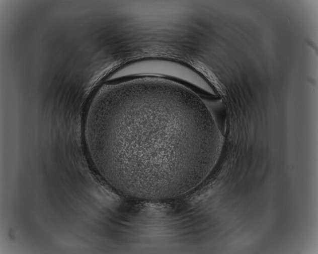 X0000093210442200710031423