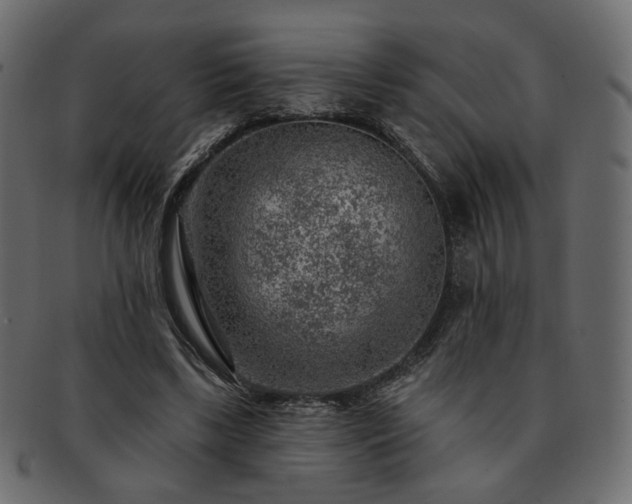 X0000093210443200710031423