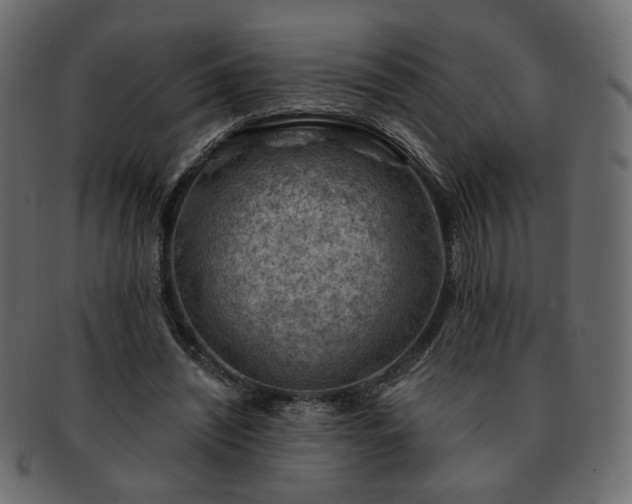 X0000093210444200710031423