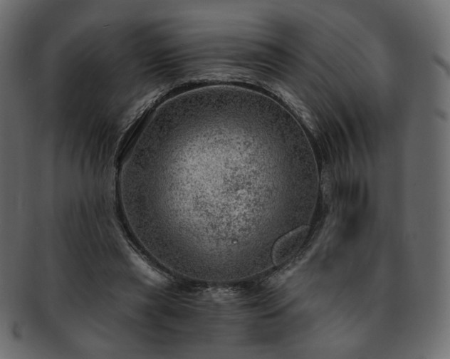 X0000093210445200710031423