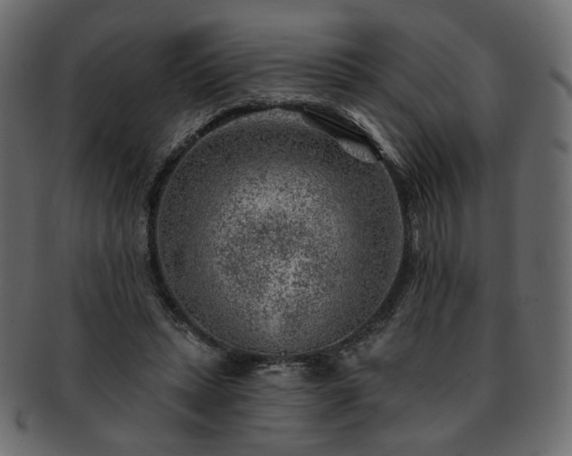 X0000093210447200710031423