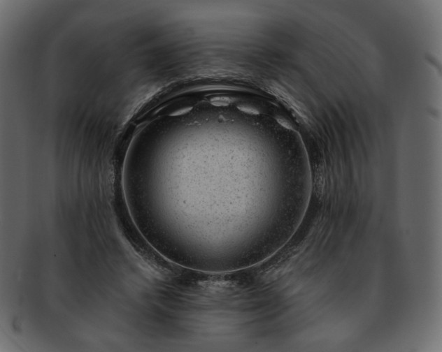 X0000093210448200710031424