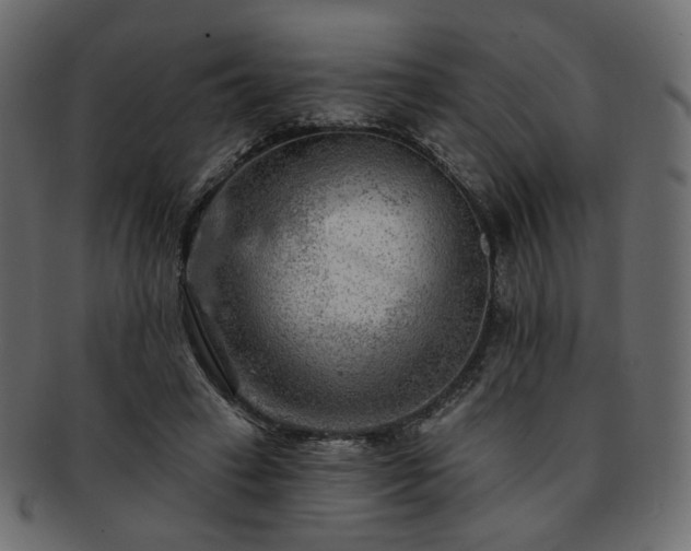 X0000093210449200710031424