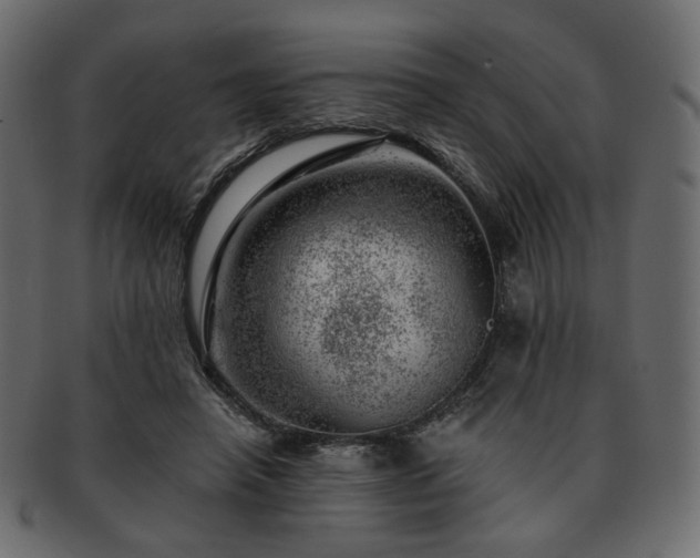 X0000093210450200710031424