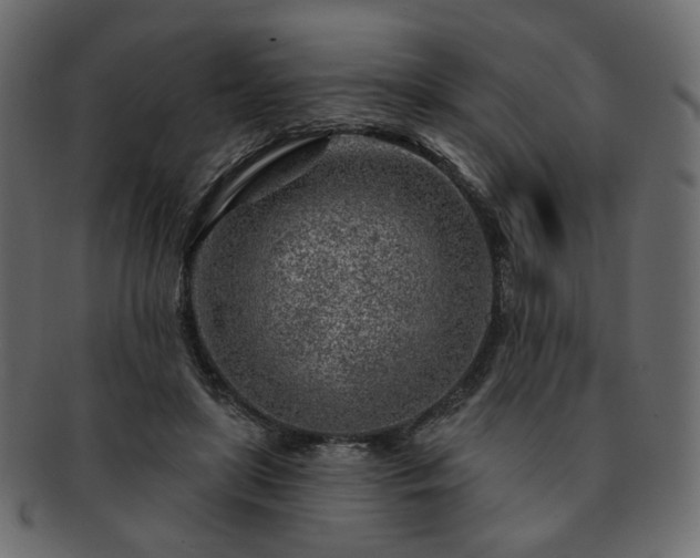 X0000093210451200710031424