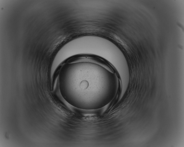 X0000093210452200710031424