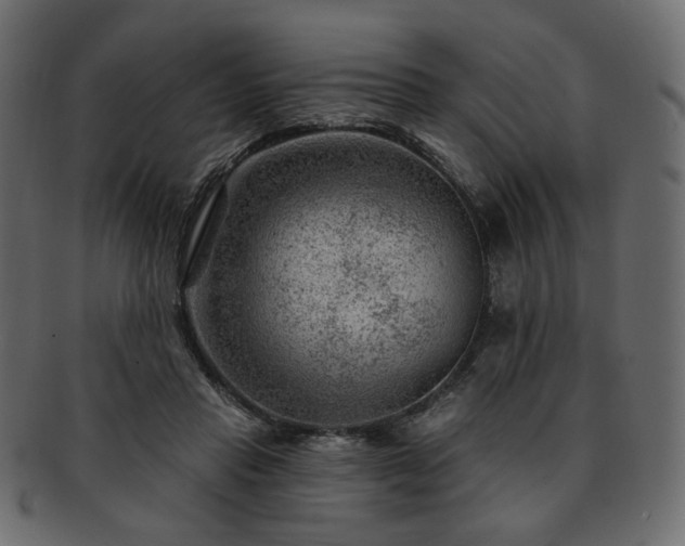 X0000093210453200710031424