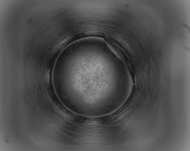 X0000093210454200710031424