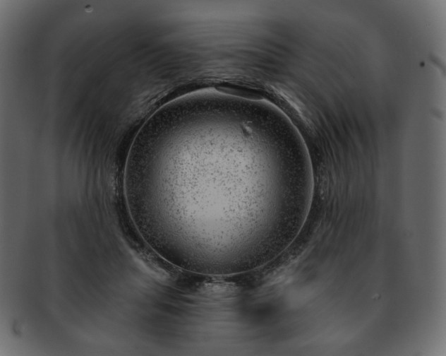 X0000093210455200710031424