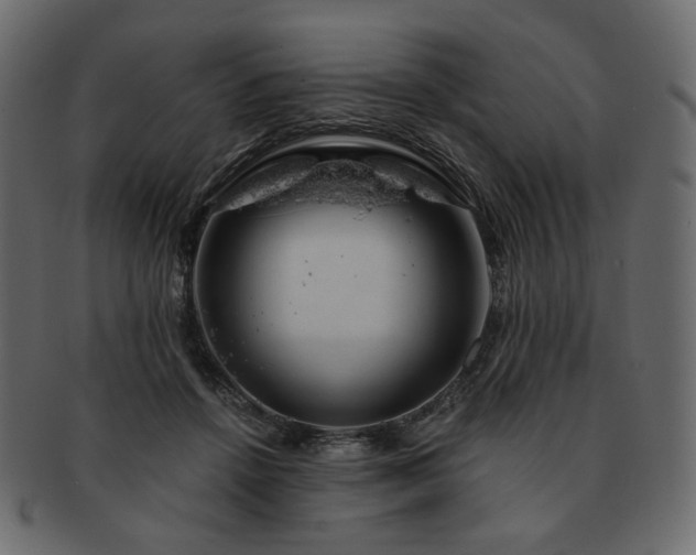 X0000093210456200710031424