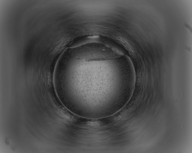 X0000093210457200710031424