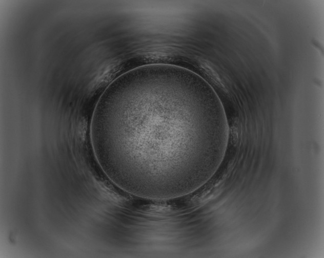 X0000093210458200710031424