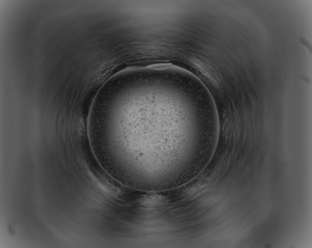 X0000093210459200710031424