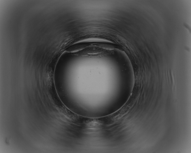 X0000093210460200710031424