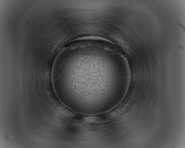 X0000093210461200710031424