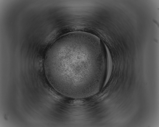 X0000093210462200710031424