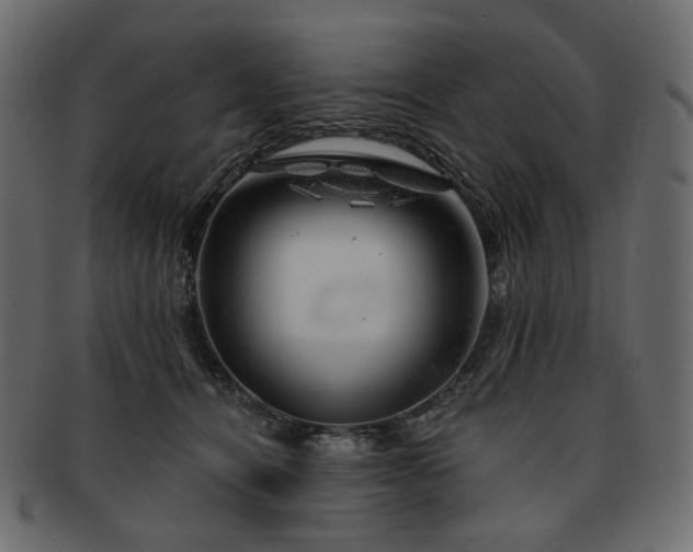 X0000093210464200710031424