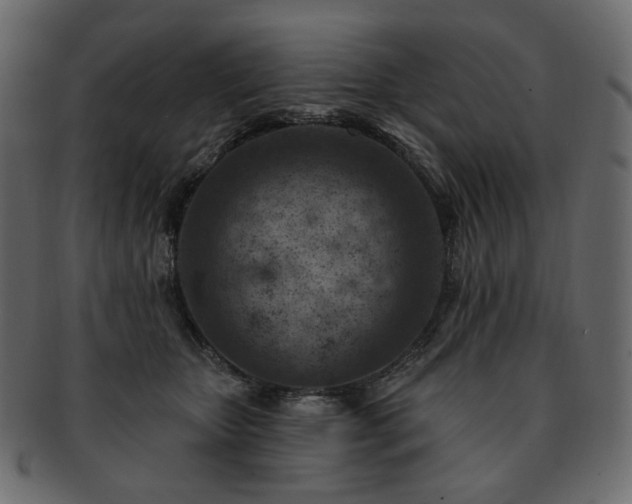 X0000093210467200710031424