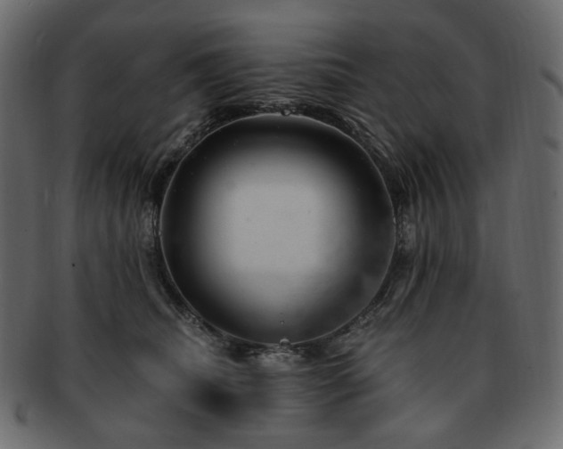 X0000093210468200710031424