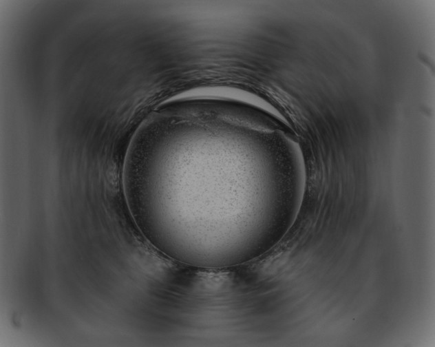 X0000093210469200710031424