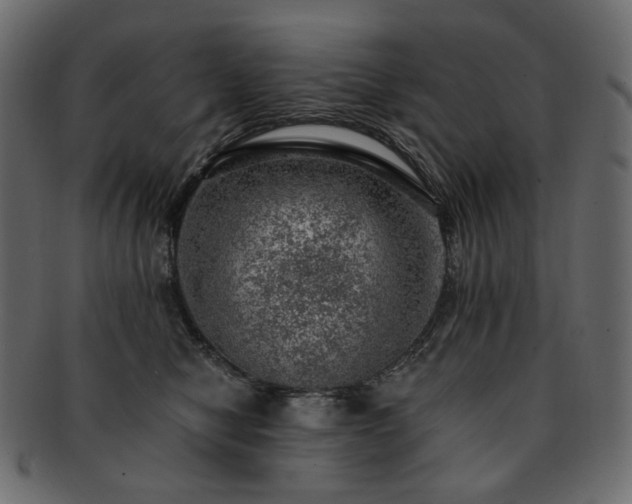 X0000093210470200710031424