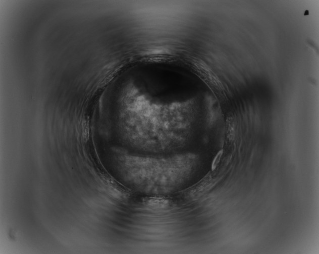 X0000093210471200710031424