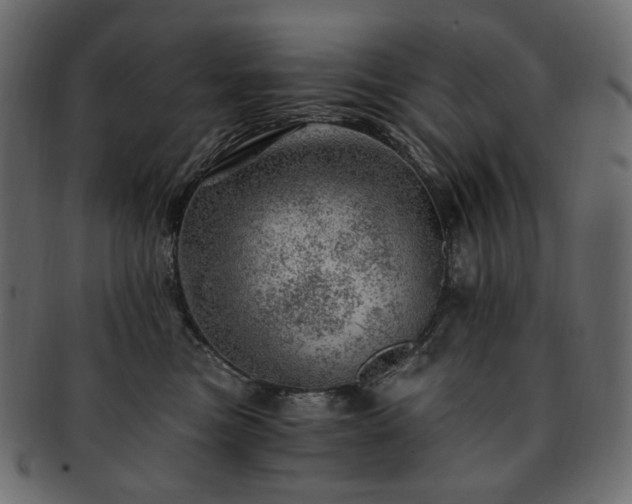 X0000093210473200710031424