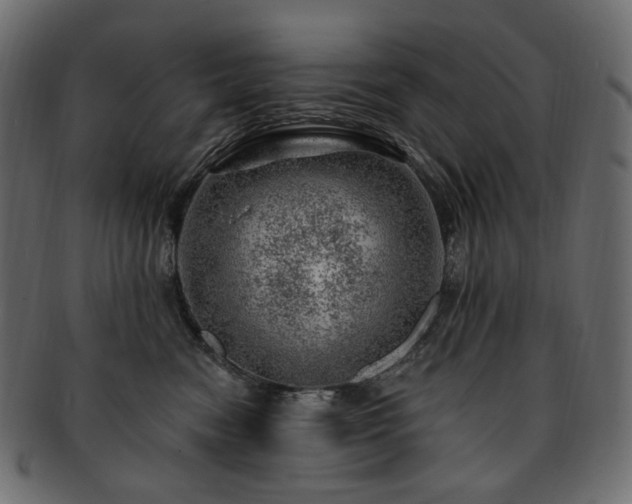 X0000093210474200710031424