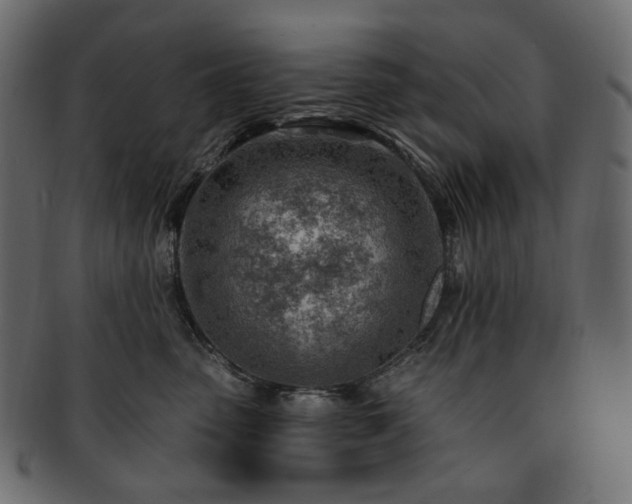 X0000093210475200710031424