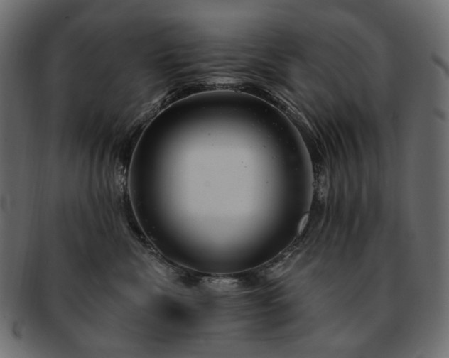 X0000093210476200710031424