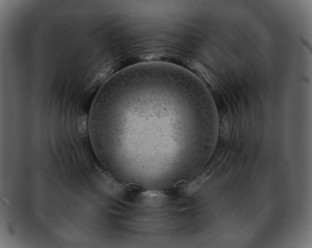 X0000093210477200710031424