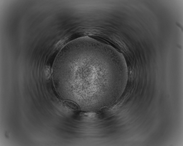 X0000093210478200710031424