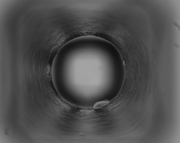 X0000093210480200710031424