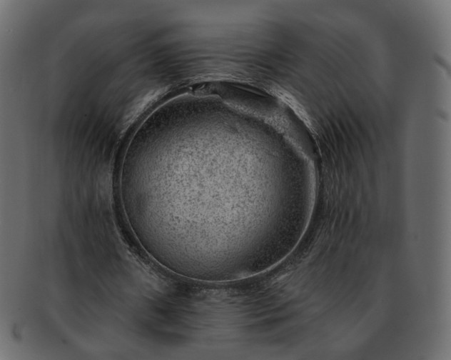 X0000093210482200710031423